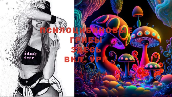 хмурый Осташков