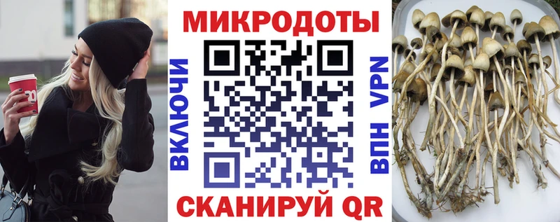 Псилоцибиновые грибы ЛСД  Купить где  Щёлково 